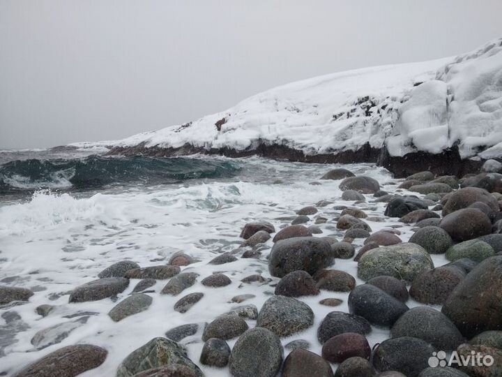 Экскурсия — Мурманск — Териберка — путешествие на
