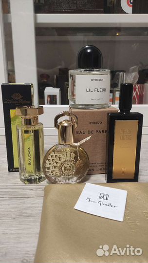 LaPetite Robe Noire Eau Fraiche;Cannibale;Batucada