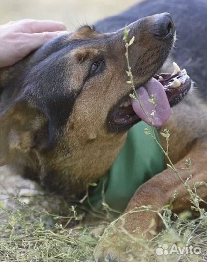 Добрые мальчишки Умка и Ричи ждут своих родителей