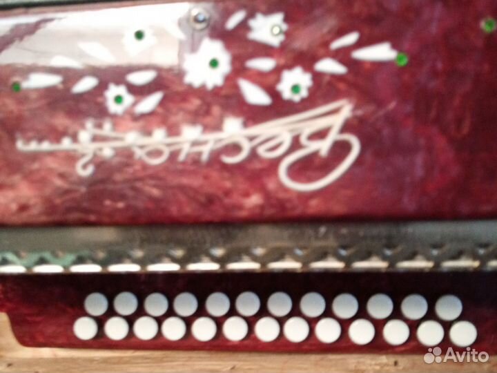 Гармонь весна2