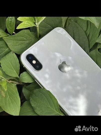 iPhone X, 256 ГБ