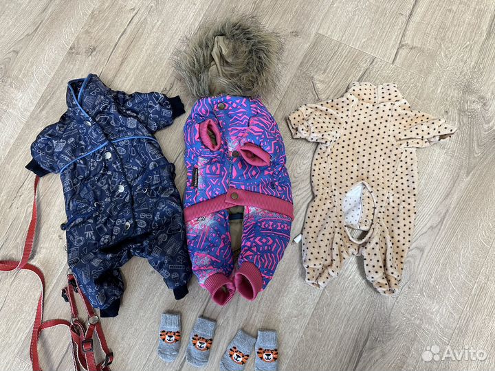 Одежда для маленькой собачки, лежанка, игрушки