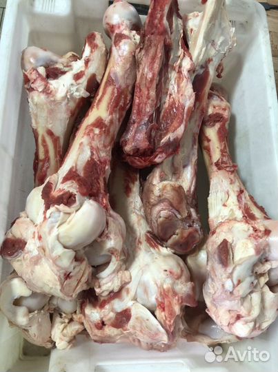 Голова говяжья. Требуха. Говядина