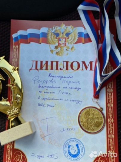 Лошадь в аренду