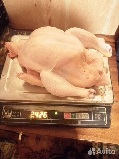 Мясо бройлера домашнее