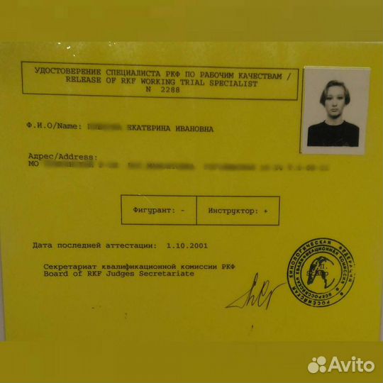 Кинолог-Зоопсихолог. Дрессировка, коррекция