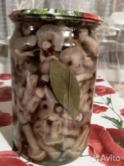 Грибы маринованные