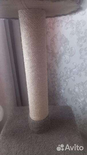 Когтеточка