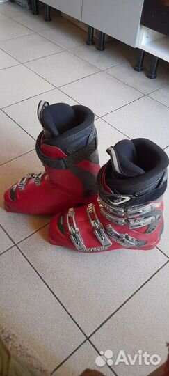 Горные лыжи