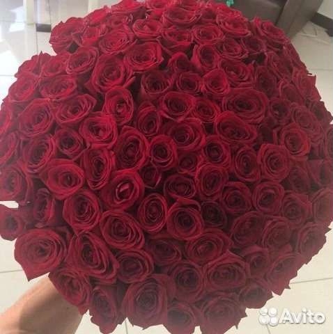 Цветы розы букет