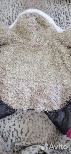 Одежда для собак