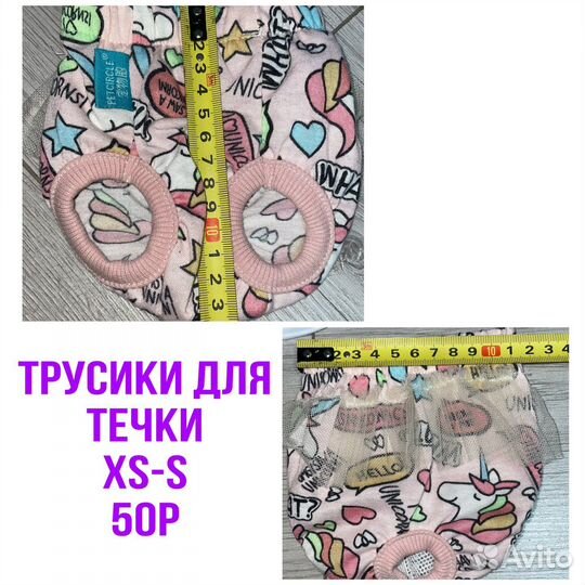 Одежда для животных