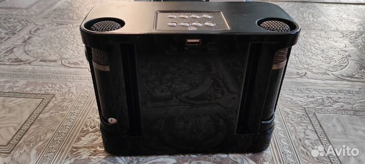 Беспроводная караоке система блютуз колонка