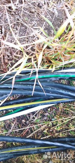 Продам кабель 20*4 и сип-2