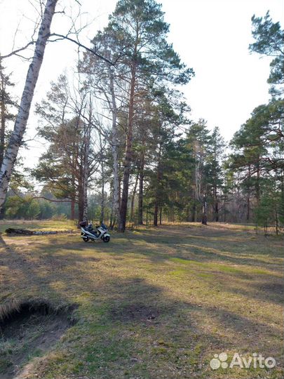 Suzuki skywave 250s