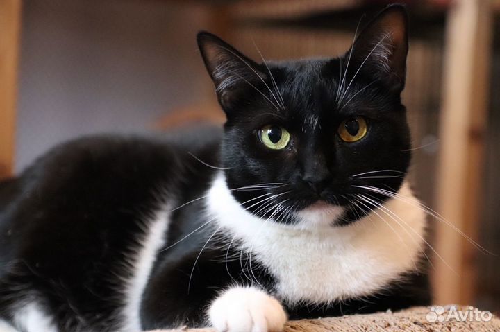 Малышка 1 год