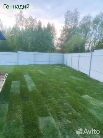 Рулонный газон залог доброго утра