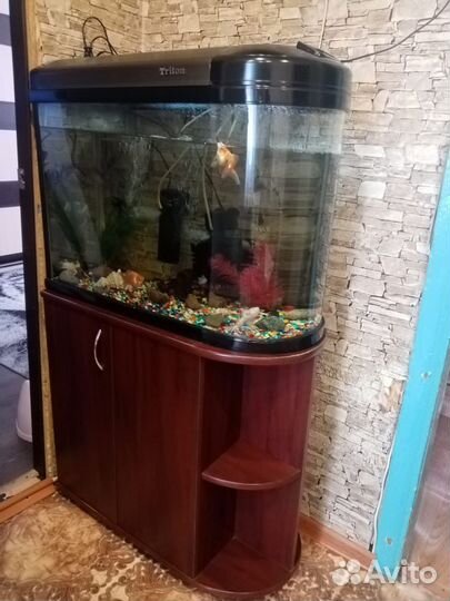 Аквариум