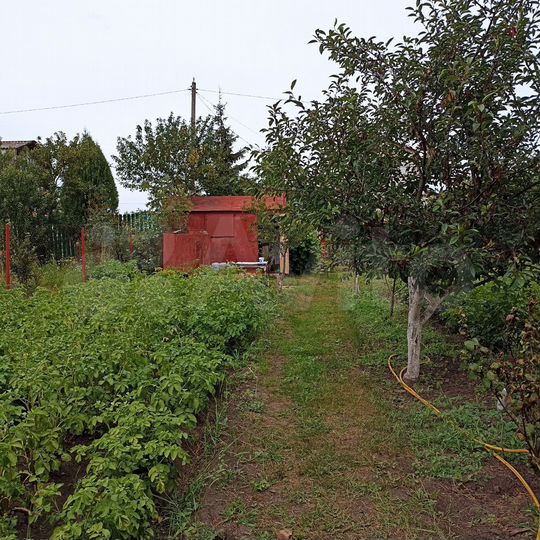 Дача 10 м² на участке 5 сот.