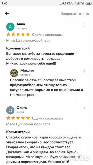 Домашняя Курочка 2.5-4.0 кг по записи