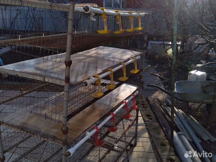 Клетки для перепелов б/у