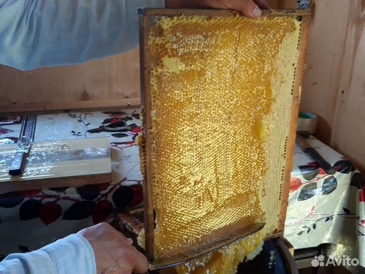 Мёд разнотравие +подсолнух