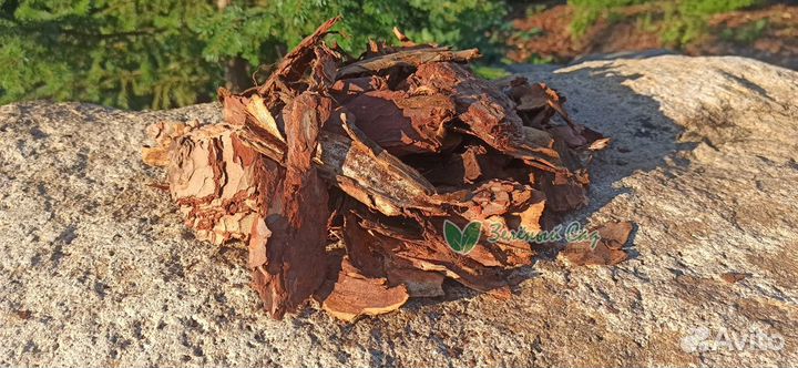 Мульча, Кора сосны крупной фракции «медиум»