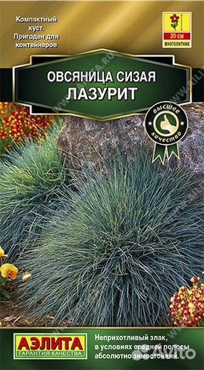 Семена зелёных растений