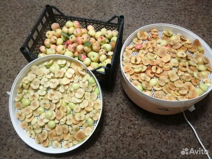 Сушеные яблоки