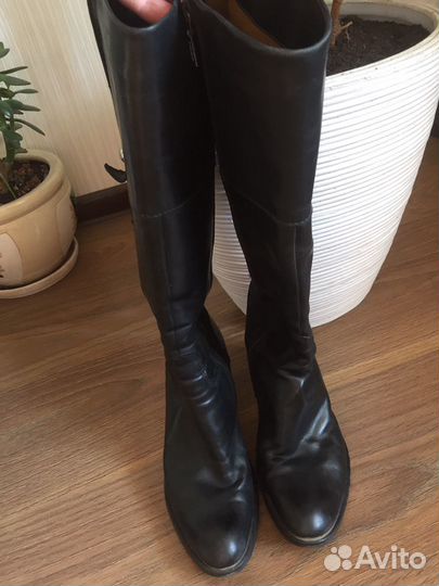 Сапоги женские весенние Geox