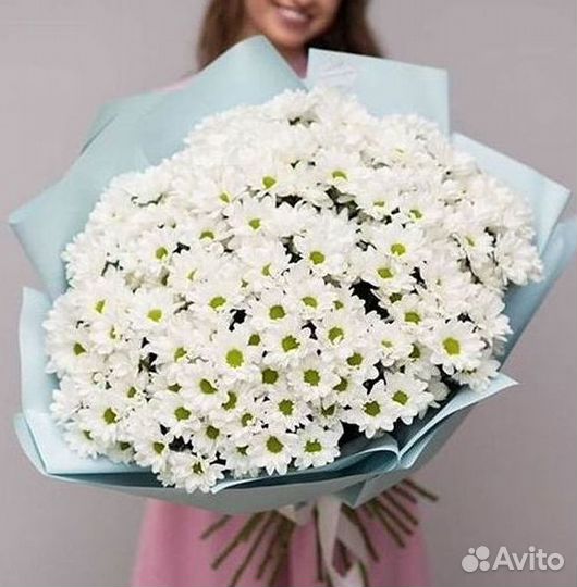 Хризантема