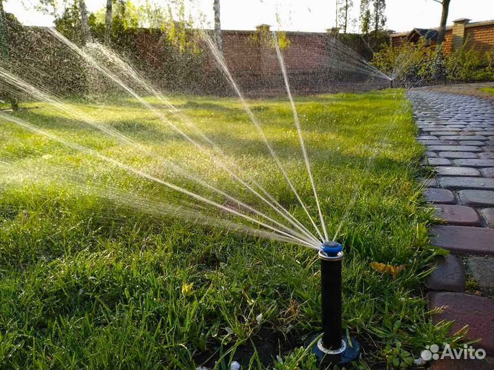 Укладка и продажа газона