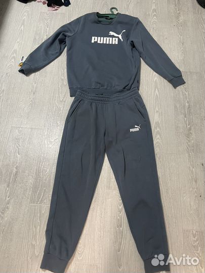 Мужской спортивный костюм puma