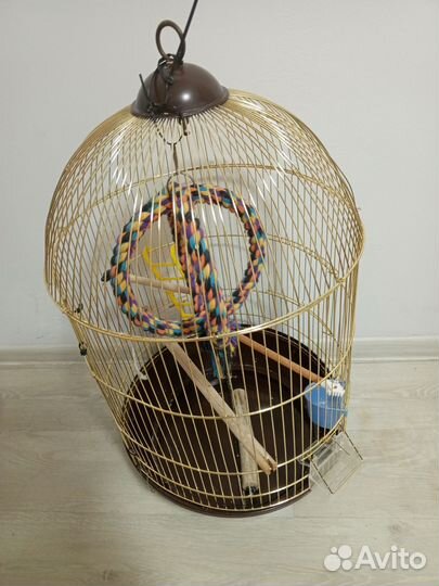 Клетка для попугая корелла