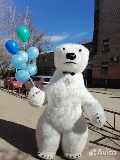 Надувные Мишки поздравление