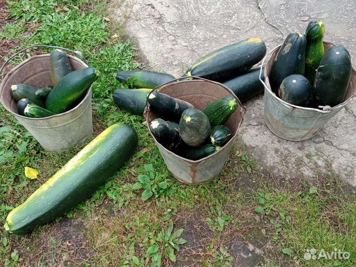 Овощи с доставкой