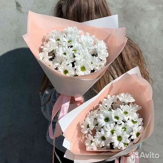 Хризантема