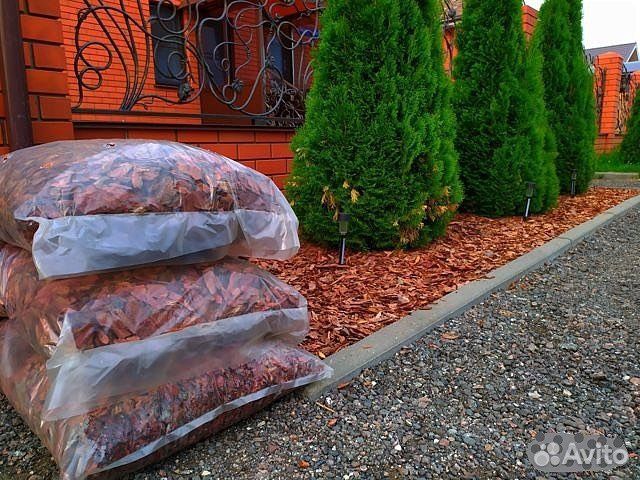 Кора сибирской лиственницы фракция 4-6