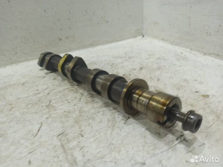 Распредвал впускной Ягуар