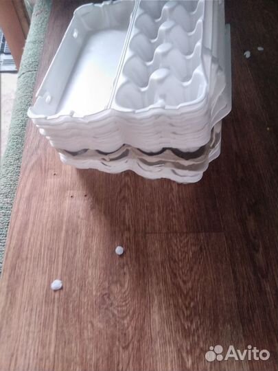 Упаковка для яиц