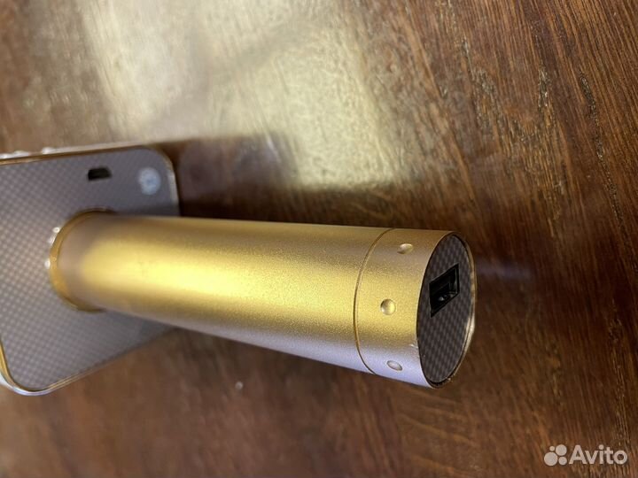 Микрофон деткский