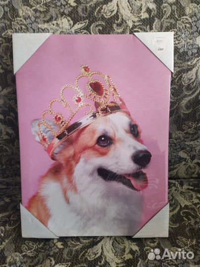 Корги картина