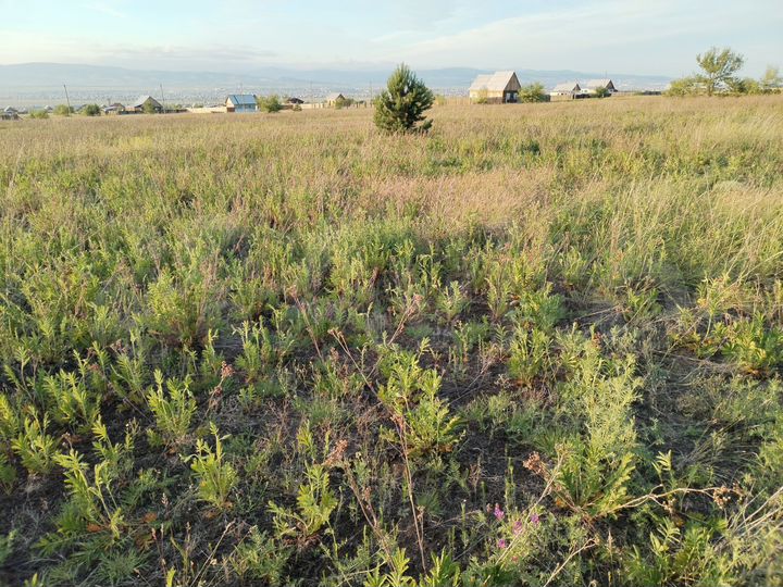 Участок 10 сот. (ИЖС)