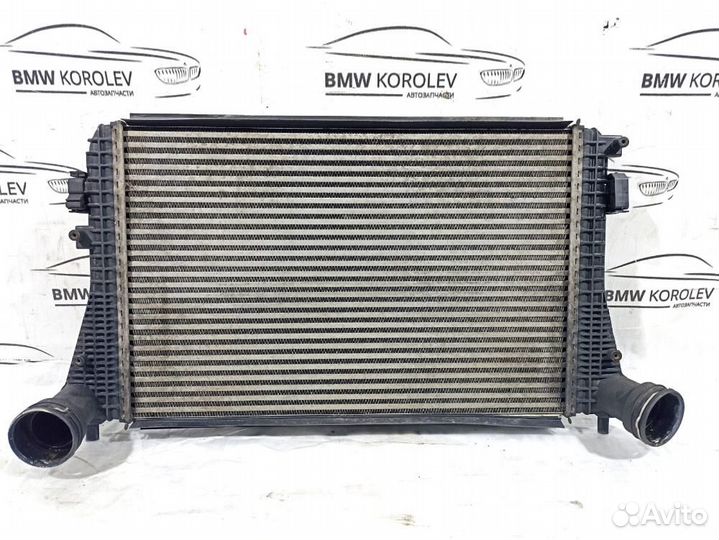 Интеркулер VW Golf V 2003-2009 (1K0145803M)