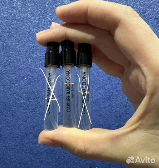 Carner barcelona latin lover