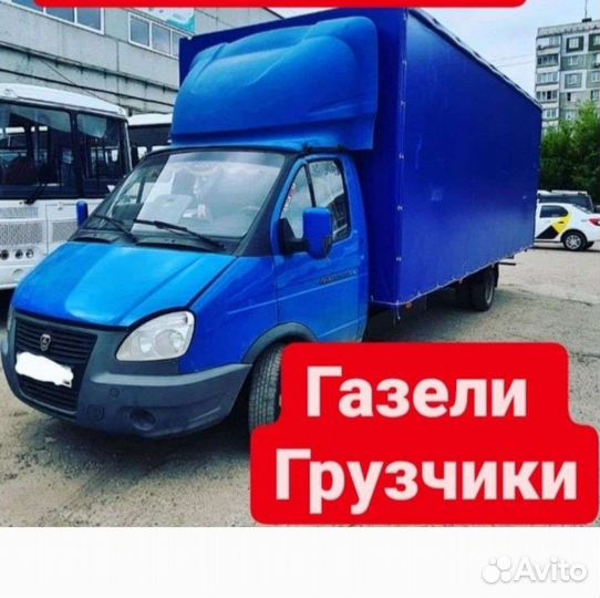 Опытные грузчики 24
