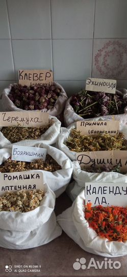 Лекарственные травы, сушёные