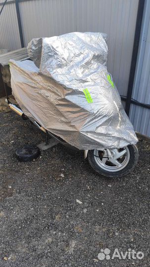 Honda forza 250