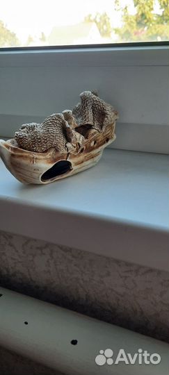 Для аквариума