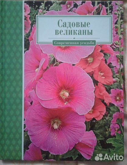 Книги новые